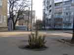 Новый Год круглый год!